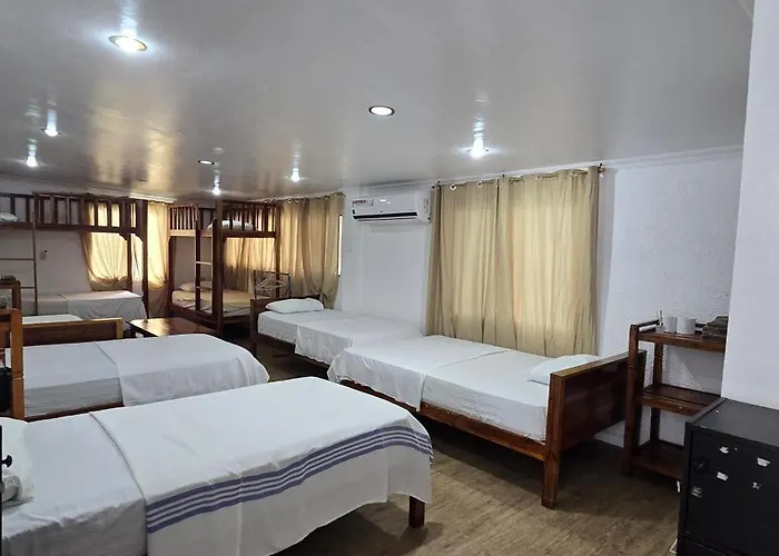 Hotel Brandnew *