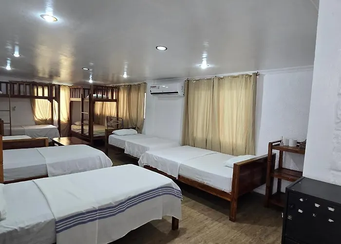 Hotel Brandnew *